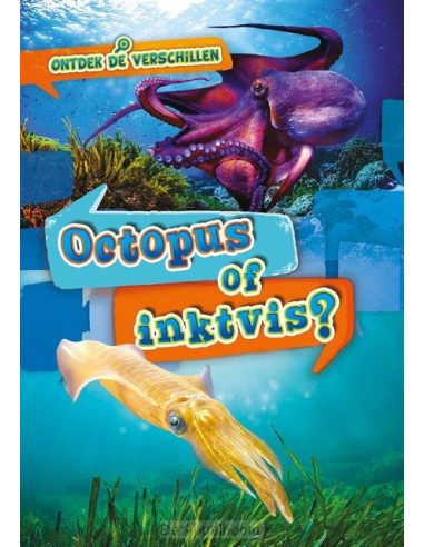 Octopus of inktvis?