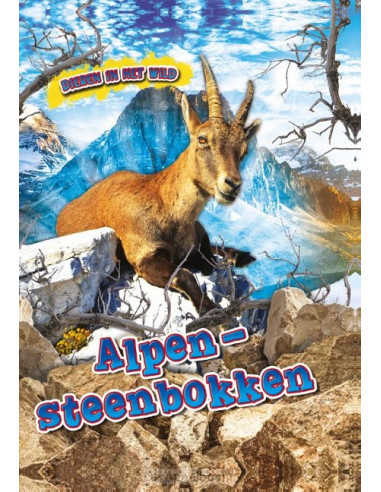 Alpen Steenbokken