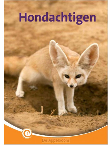 Hondachtigen