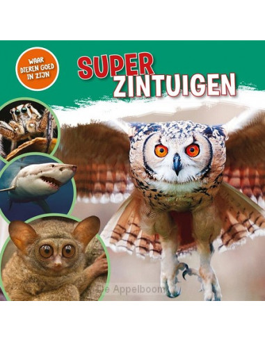 Superzintuigen