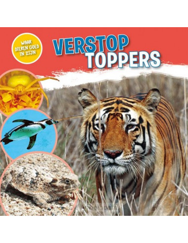 Verstoptoppers