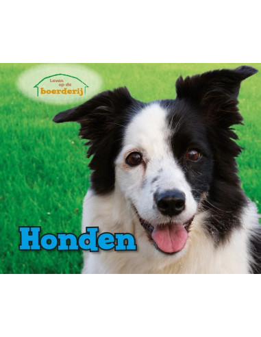 Honden