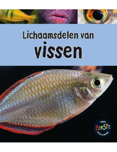 Lichaamsdelen van vissen