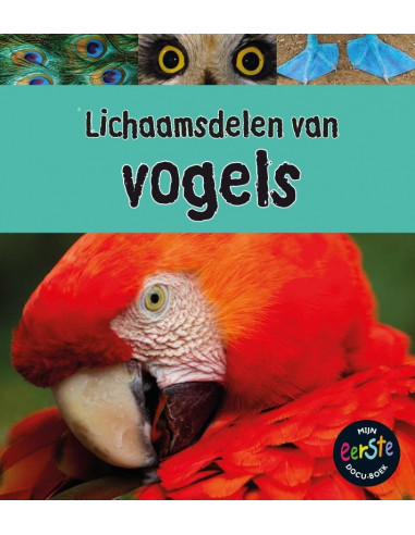 Lichaamsdelen van vogels