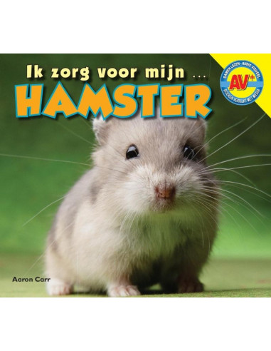 Hamster