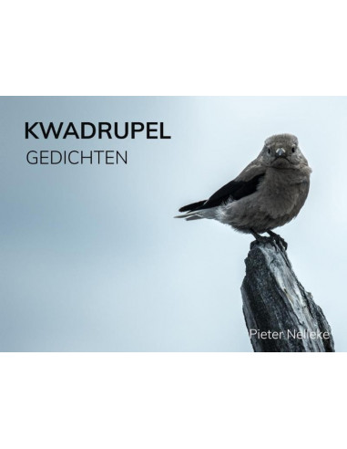 KWADRUPEL