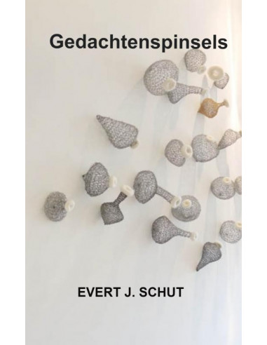 Gedachtenspinsels