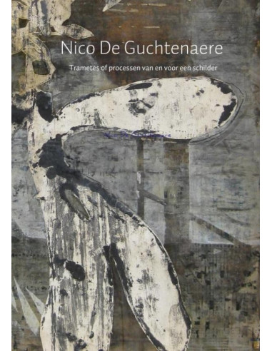 Nico De Guchtenaere