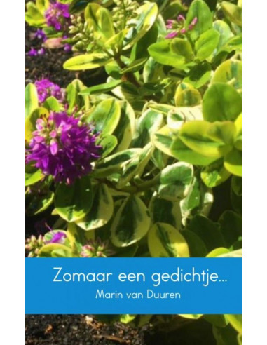 Zomaar een gedichtje...