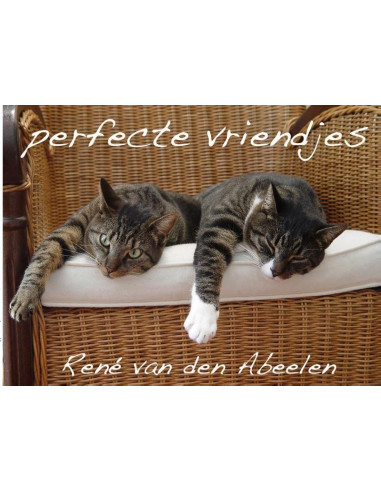 perfecte vriendjes