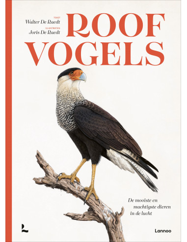 Roofvogels