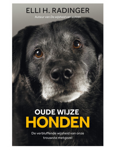 Oude wijze honden