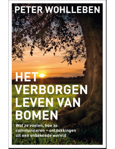 Het verborgen leven van bomen