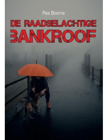 De raadselachtige bankroof