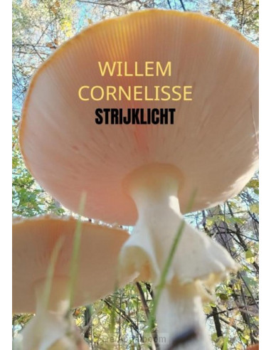 Strijklicht