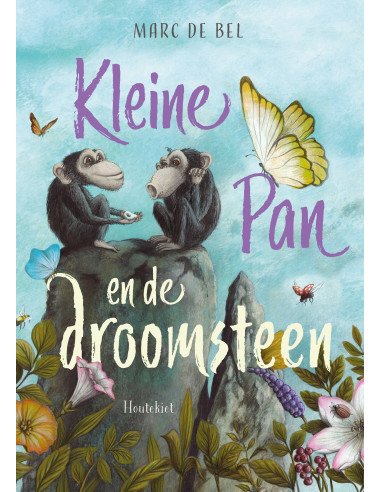 Kleine Pan en de droomsteen