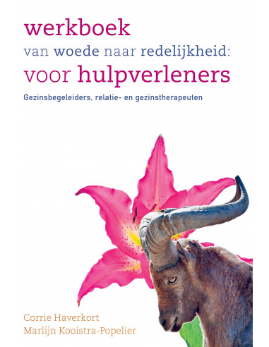 Werkboek van woede naar redelijkheid: vo