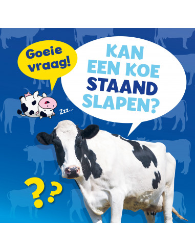 Kan een koe staand slapen?