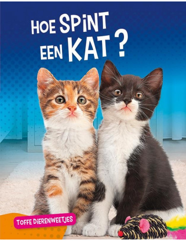 Hoe spint een kat?