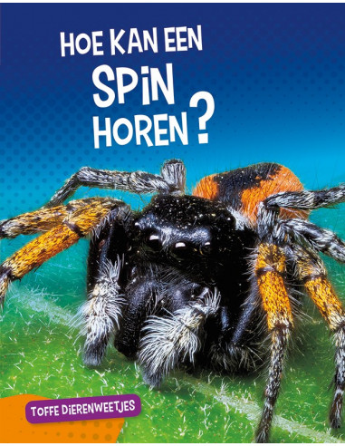 Hoe kan een spin horen?