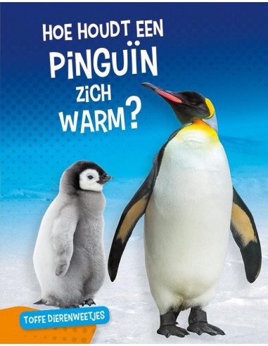 Hoe houdt een pinguïn zich warm?