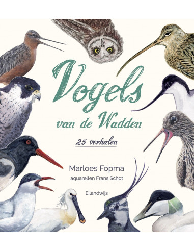 Vogels van de Wadden