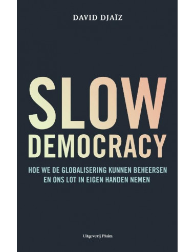 Slow democracy