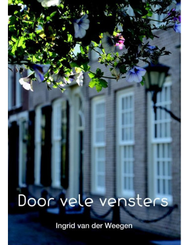 Door vele vensters