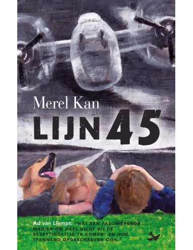 Lijn 45