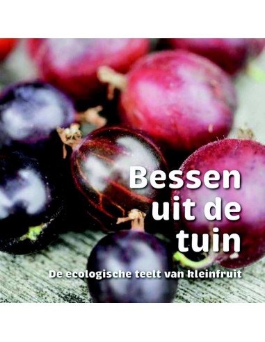 Bessen uit de tuin