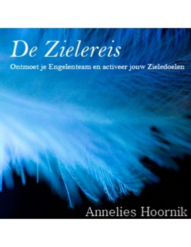 De Zielereis