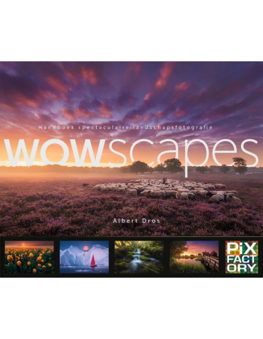 WOWscapes