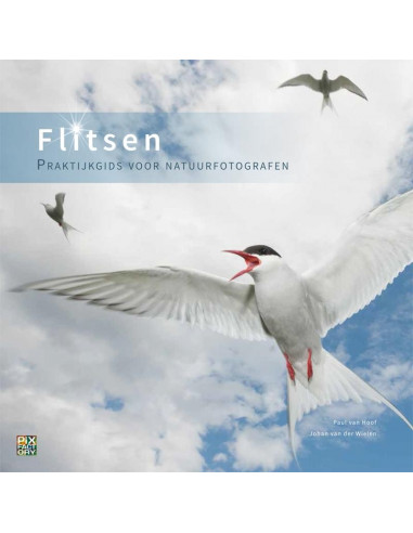 Flitsen