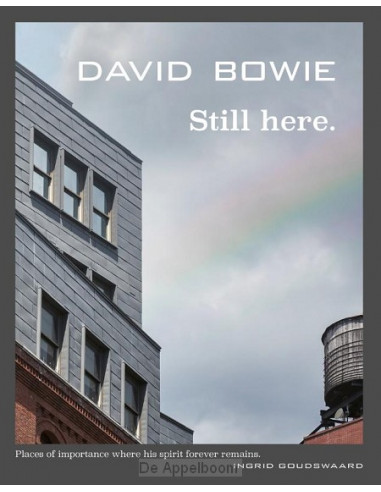 David Bowie Still here