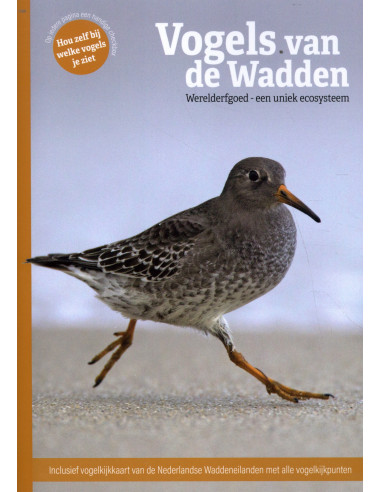 Vogels van de Wadden