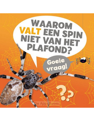 Waarom valt een spin niet van het plafon