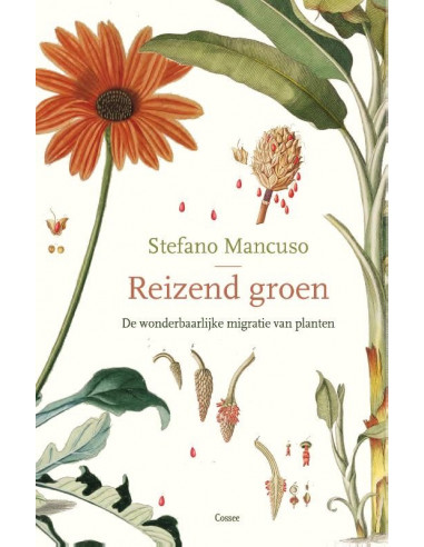 Reizend groen