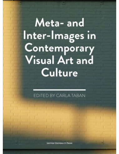 Meta- and inter-images in contemporary v