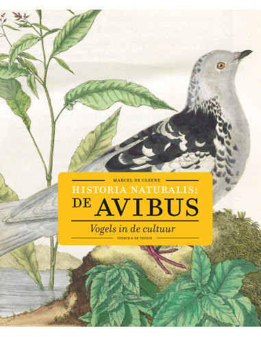 Historia naturalis: de avibus