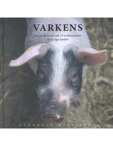 Varkens