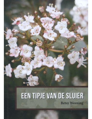 Een tipje van de sluier