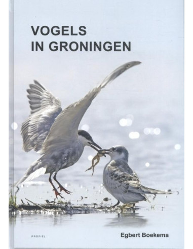 Vogels in Groningen