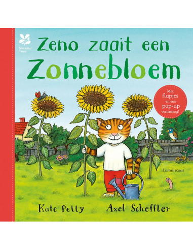 Zeno zaait een zonnebloem