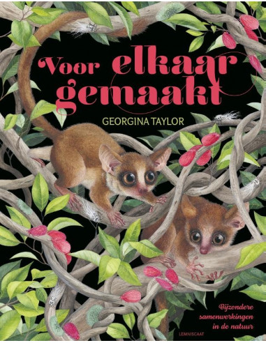 Voor elkaar gemaakt