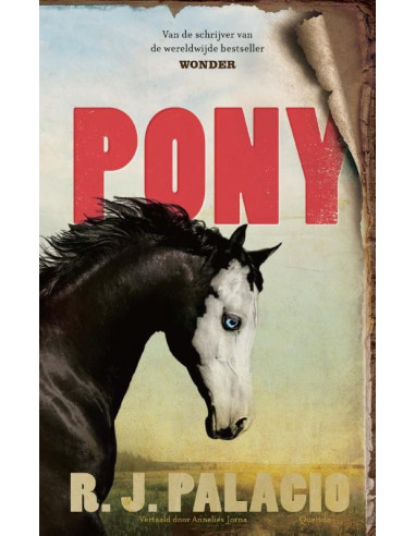 Pony