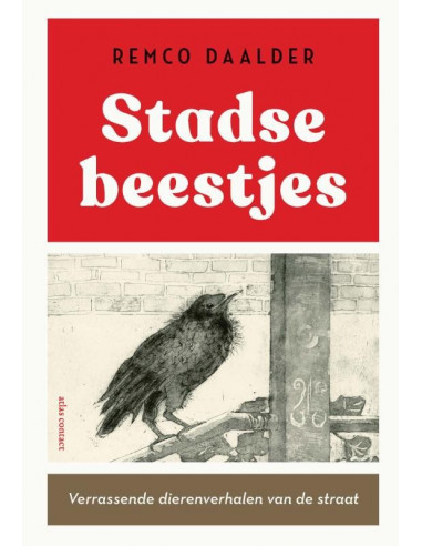 Stadse beestjes