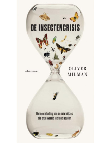 De insectencrisis