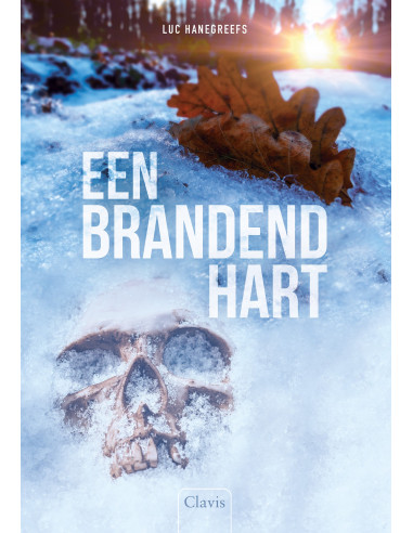 Een brandend hart