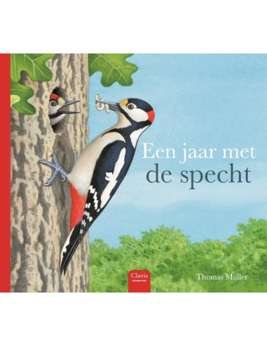 Een jaar met de specht