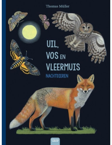 Uil, vos en vleermuis